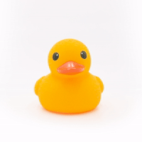 A yellow rubber duck.
